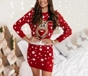 Festive Reindeer Knit Dress