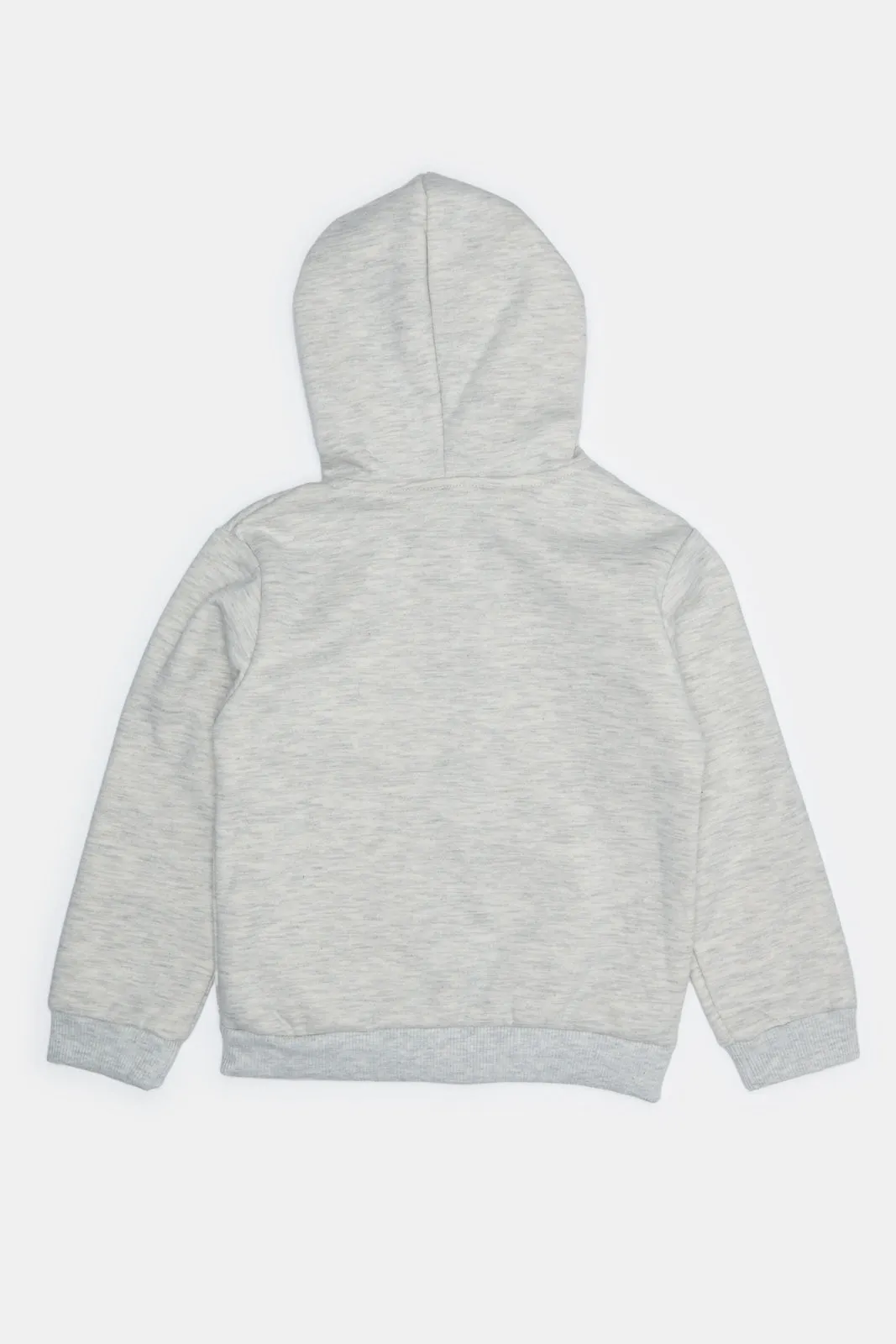 Infant Boys Grey Hooded Sweatshirts